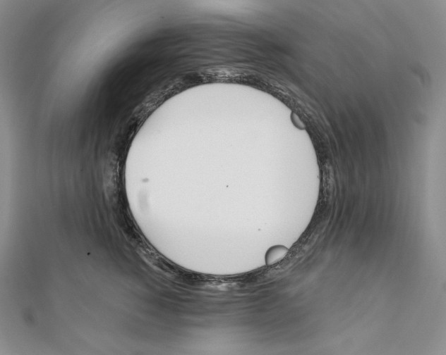 X0000111130760200907281051