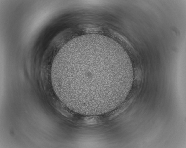 X0000111130761200907281051