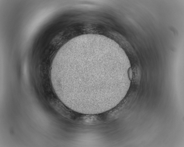 X0000111130762200907281051