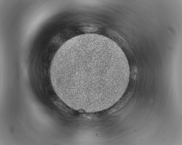 X0000111130763200907281051