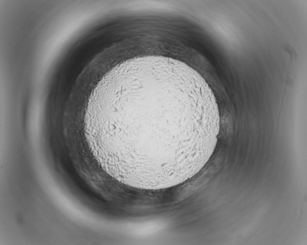X0000111130765200907281051
