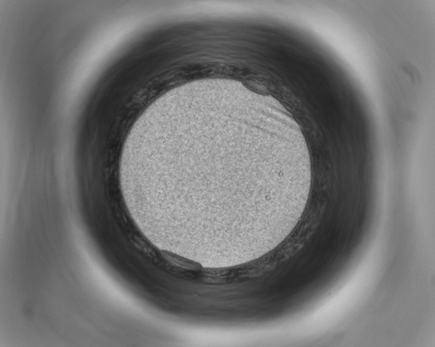 X0000111130766200907281051