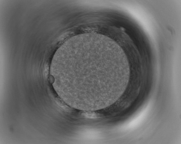 X0000111130767200907281051