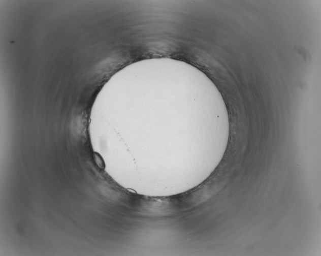 X0000111130768200907281051
