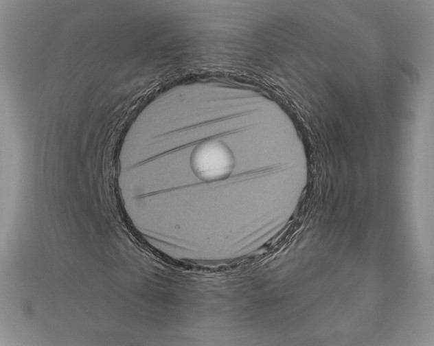 X0000111130769200907281050