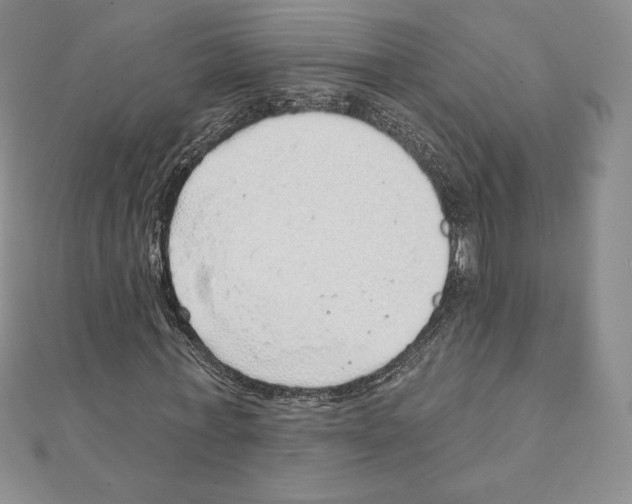 X0000111130771200907281050