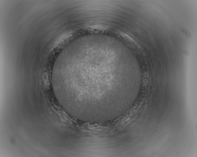 X0000111130774200907281050