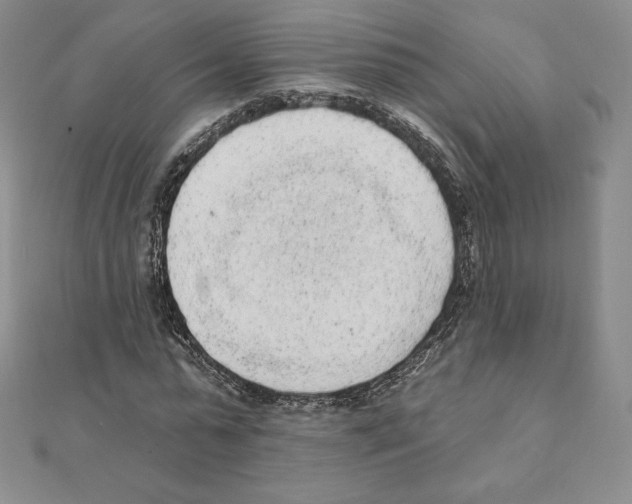 X0000111130775200907281050