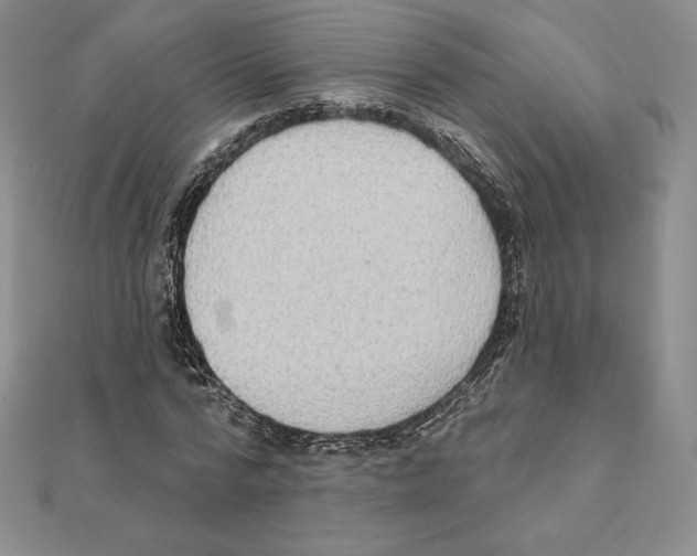 X0000111130776200907281050