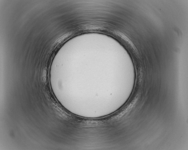X0000111130777200907281050