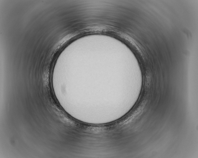 X0000111130778200907281050