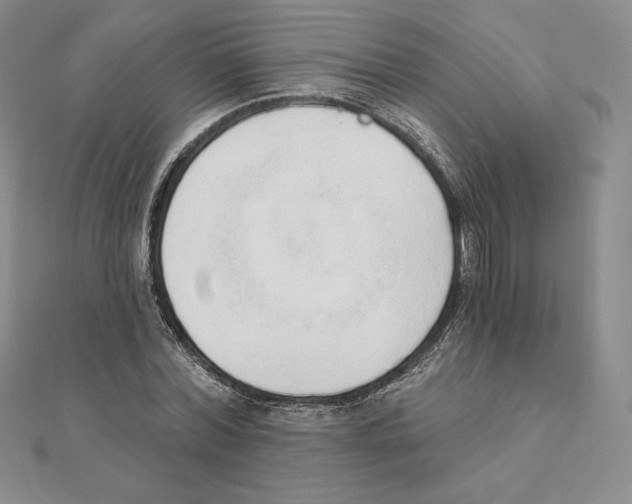 X0000111130780200907281050