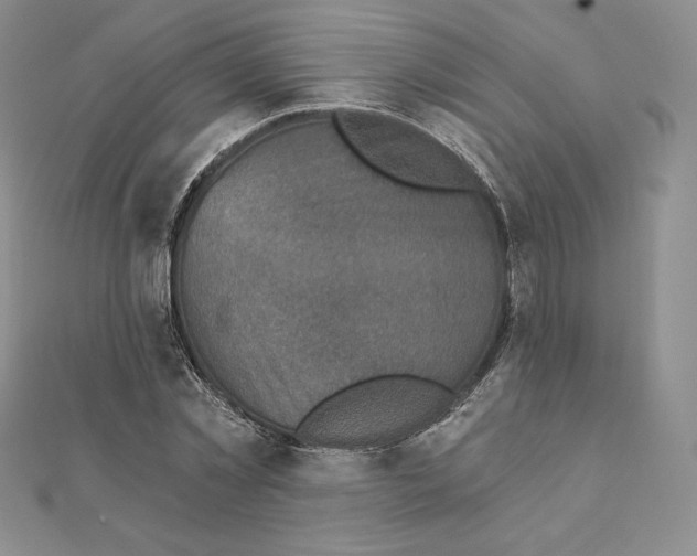 X0000111130781200907281050