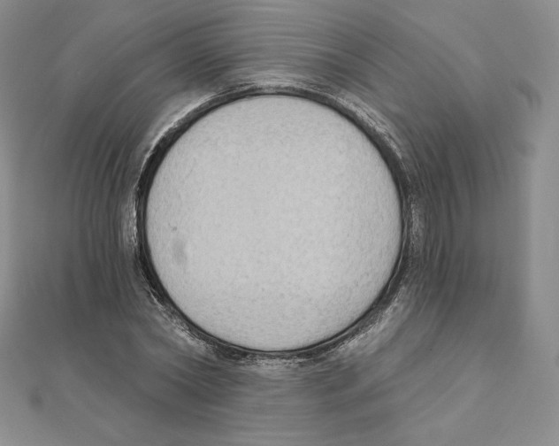 X0000111130782200907281050