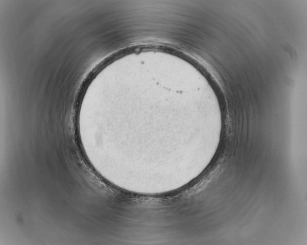 X0000111130783200907281050