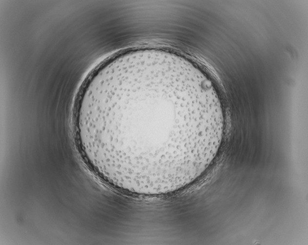 X0000111130784200907281050