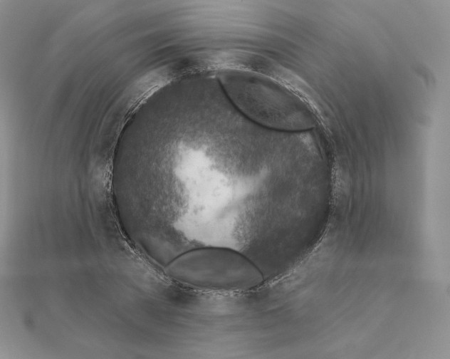 X0000111130785200907281050