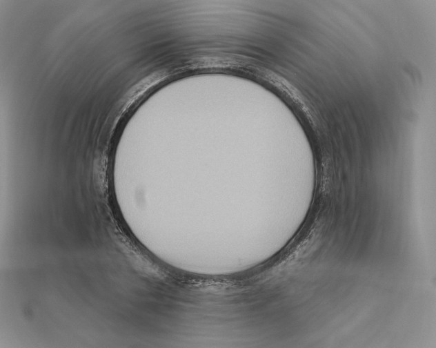 X0000111130786200907281050