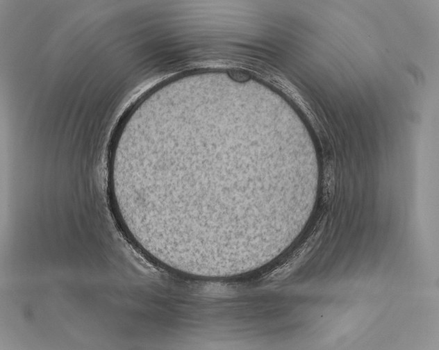 X0000111130787200907281050