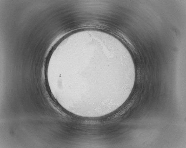 X0000111130788200907281050