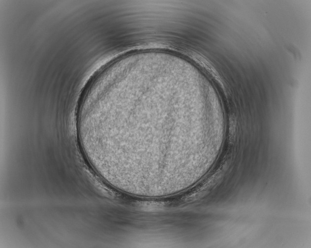X0000111130789200907281050