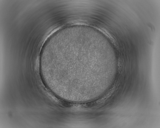 X0000111130790200907281050