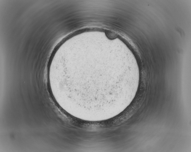 X0000111130791200907281050