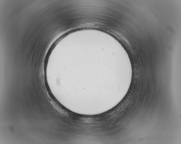 X0000111130792200907281050