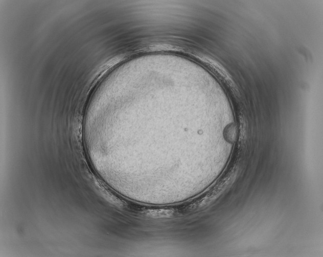 X0000111130793200907281050