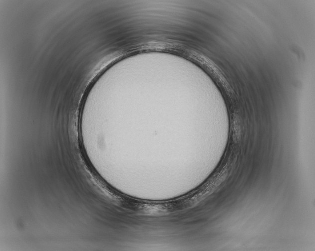 X0000111130794200907281050