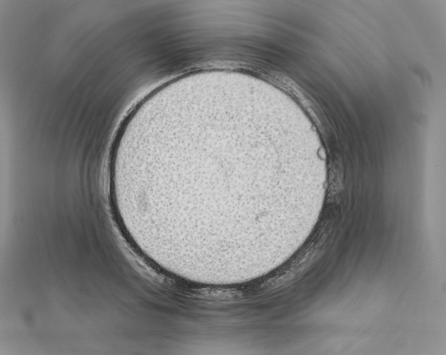 X0000111130795200907281050