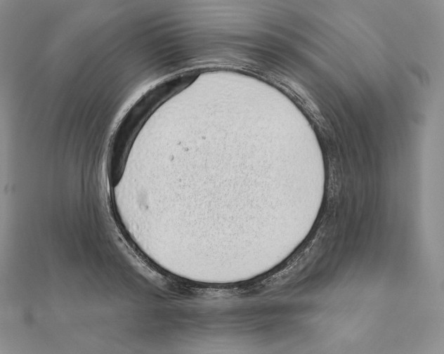 X0000111130796200907281050