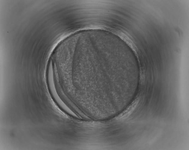 X0000111130797200907281050