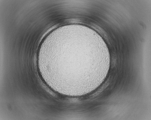 X0000111130798200907281050