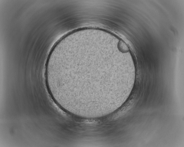 X0000111130799200907281050