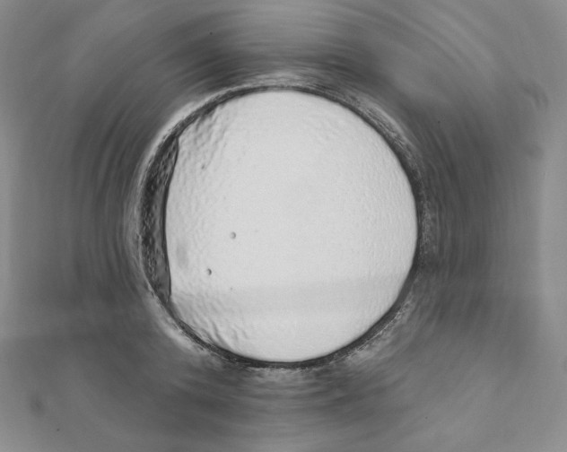 X0000111130800200907281050