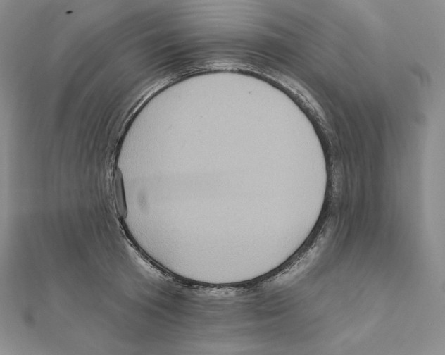 X0000111130801200907281050