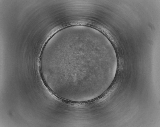 X0000111130802200907281050