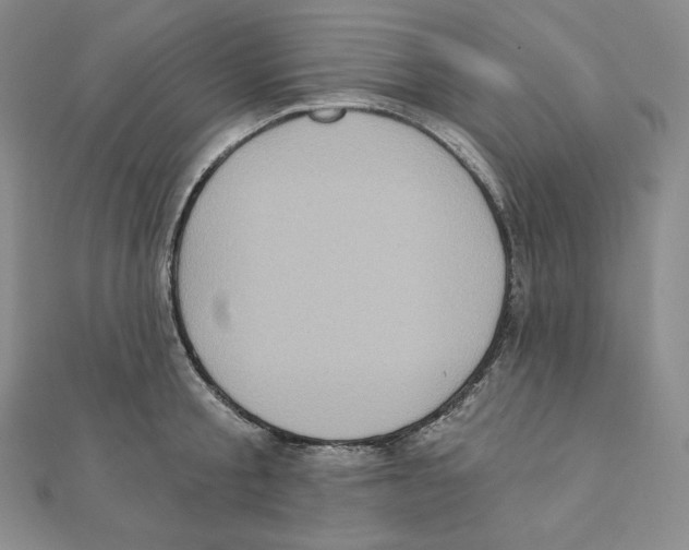 X0000111130805200907281050