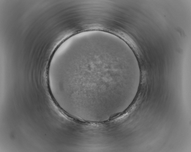 X0000111130806200907281050