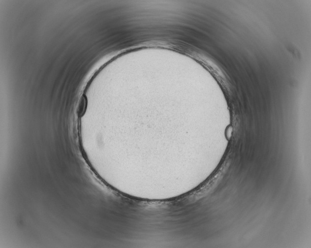 X0000111130808200907281050