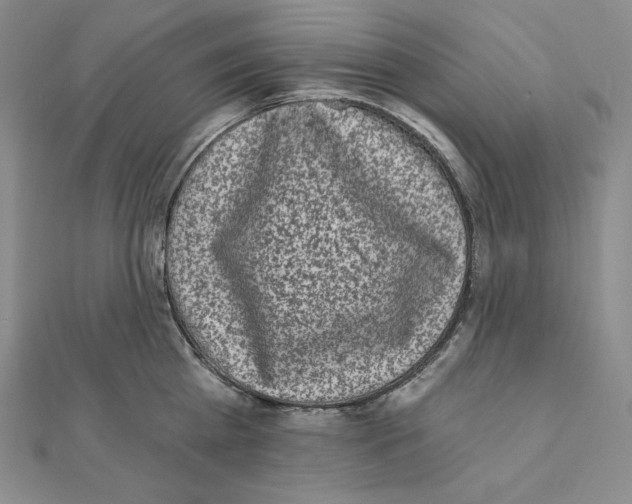 X0000111130809200907281049