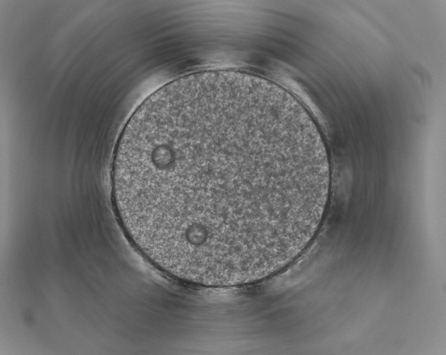X0000111130810200907281049