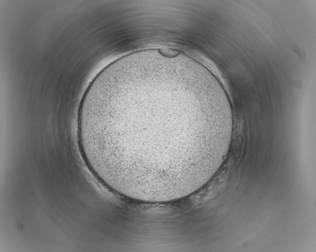 X0000111130811200907281049