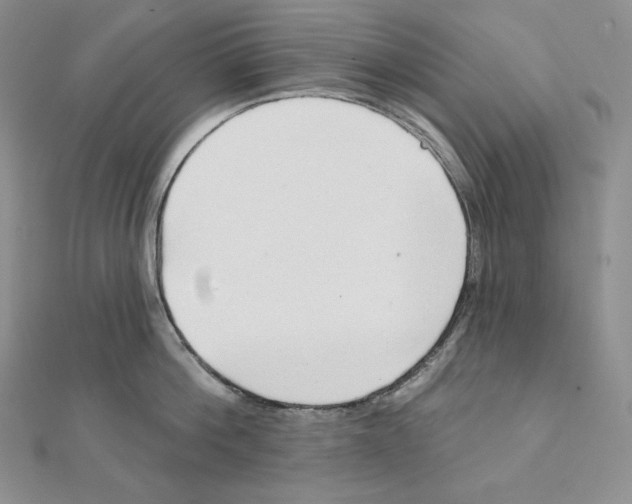 X0000111130812200907281049