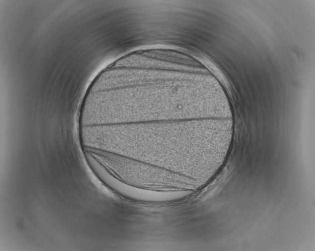 X0000111130813200907281049