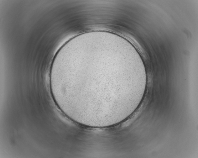 X0000111130814200907281049
