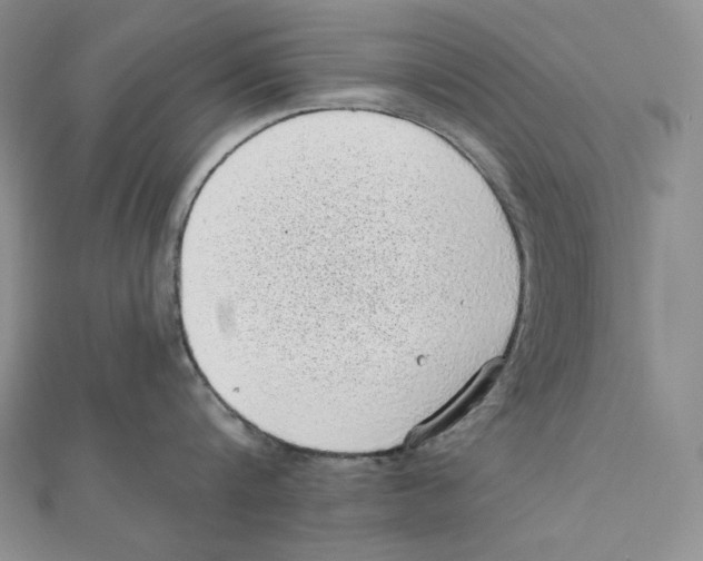 X0000111130816200907281049