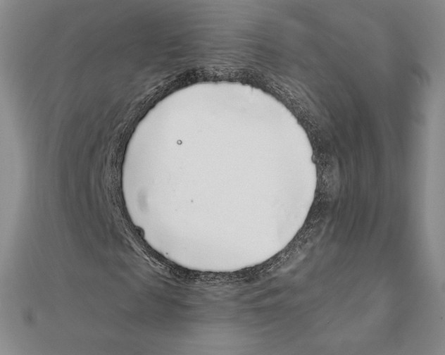 X0000111130817200907281049