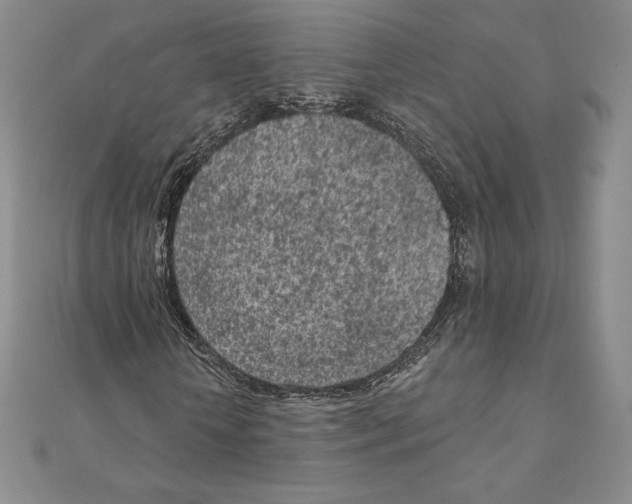 X0000111130818200907281049